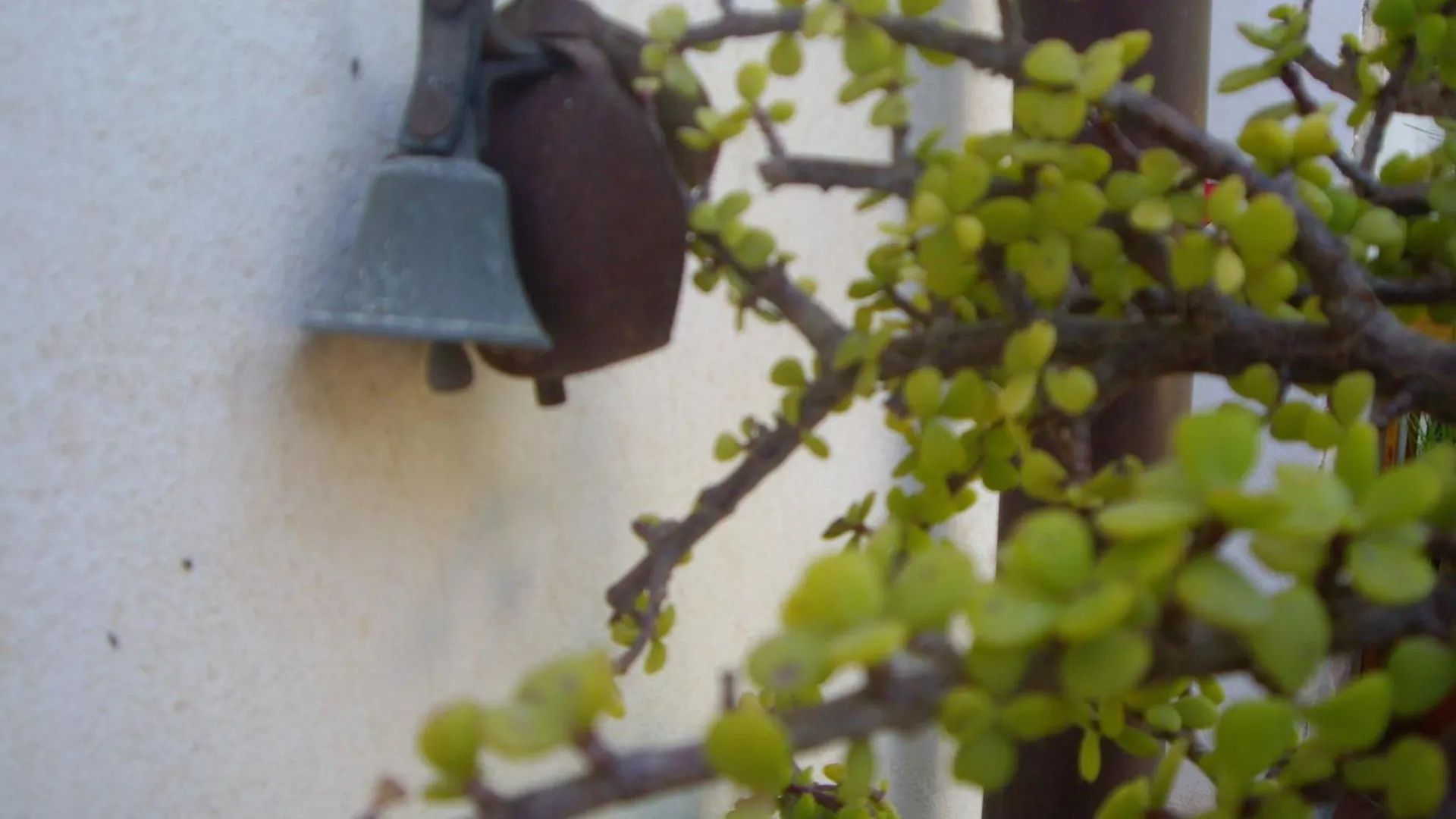 La Bianca Scogliera Bed & Breakfast Realmonte
