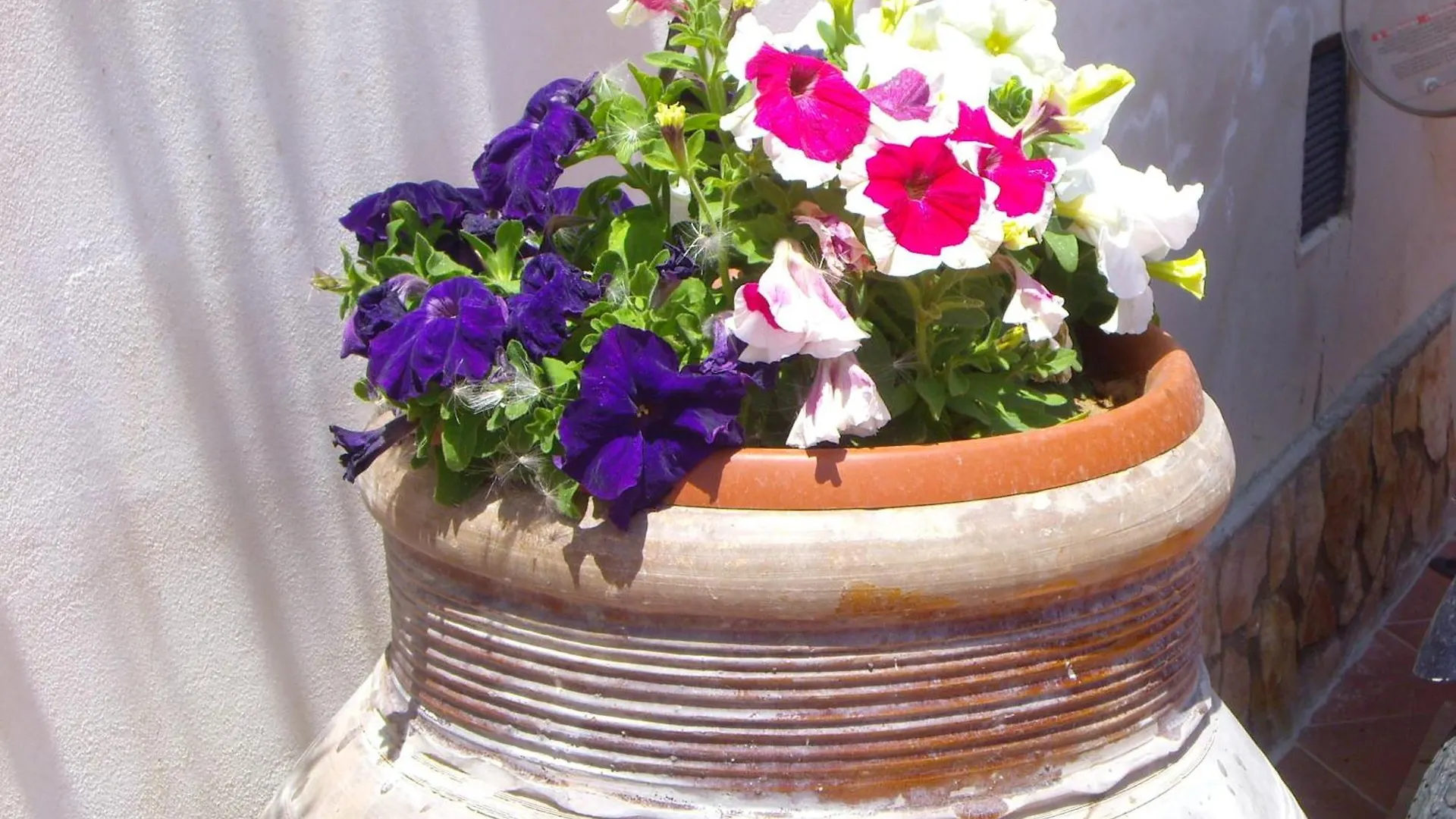 La Bianca Scogliera Bed & Breakfast Realmonte